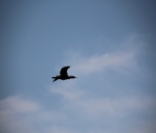 2014 04 20 MinnehahaFalls 006